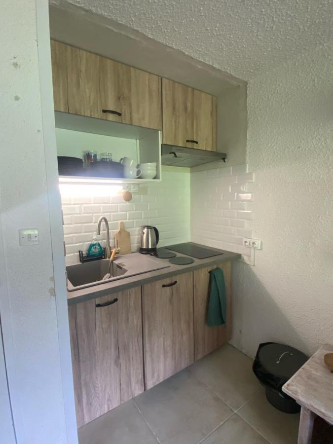Апартаменты Appt Chaleureux 2 - 4 Personnes Au Pied Des Pistes - Draps Et Linges De Toilette Non Fournis - Menage Non Inclus Ла-Монжи Экстерьер фото